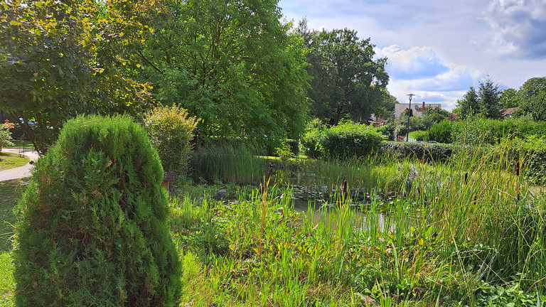 Teich im Garten der Wohnstätte Immanuel Haus Molkenberg